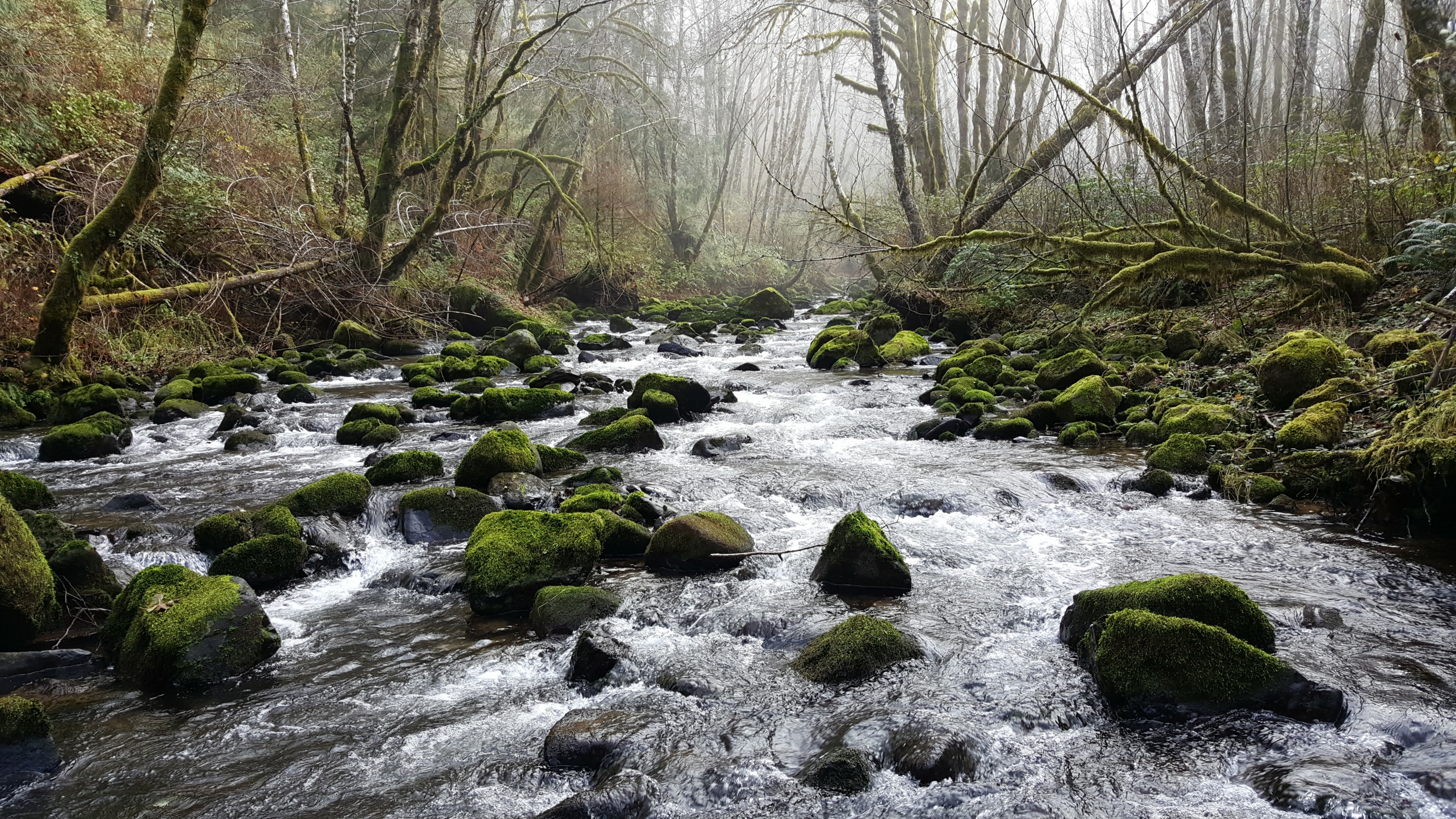 September Conference Call/Meeting Minutes